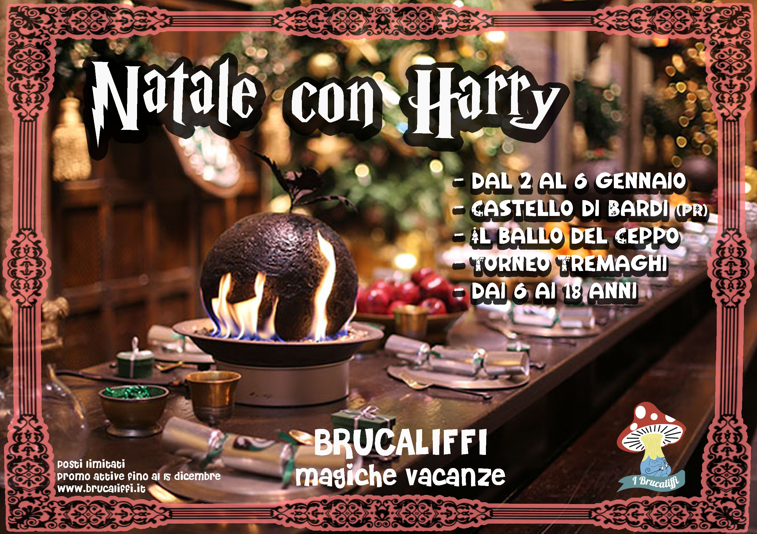 "Natale con Harry" Avventure al Castello